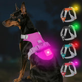 Joytale light-up dog harness hotpink XL front-view with high visibility for safe walks