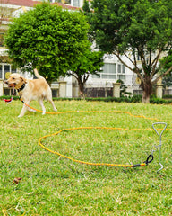 Joytale long leash 65ft extended length for ample space during play and training