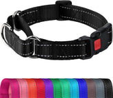 Joytale martingale collar front view showing sturdy black nylon for safe walks