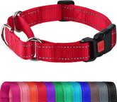 Joytale Martingale Collar closeup highlights durable nylon for daily training.
