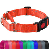 Joytale Martingale collar orange front view highlighting reflective safety for night walks.