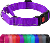 Joytale martingale collar purple quick-release buckle enhances safety during sudden pulls