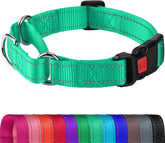 Joytale Martingale Collar teal closeup highlighting durable nylon and quick-release buckle for safety.