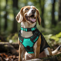 Joytale neoprene-padded collar teal detail illustrating soft padding to prevent chafing.