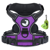 Joytale no-pull harness shown with front clip in purple for smoother redirecting during walks