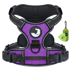 Joytale no-pull harness shown with front clip in purple for smoother redirecting during walks