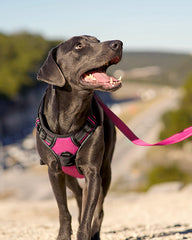 Joytale reflective strips boost visibility during dusk or nighttime walks.