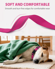Joytale quick-release buckle dog collar secure, easy on/off