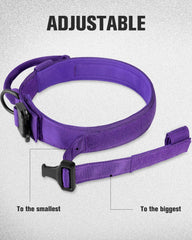 Joytale quick-release zinc buckle collar for easy on/off in daily use.