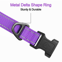 Joytale reflective collar D-ring close-up shows rust-resistant metal for secure leash attachment.