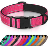 Joytale reflective dog collar hotpink neoprene padding for comfortable daily walks