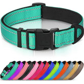 Joytale Reflective Dog Collar teal front view for nighttime visibility.