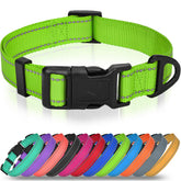 Joytale small dog collar closeup buckle demonstrates quick-release convenience for easy on off