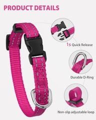 Joytale durable metal delta ring keeps leash and ID tags secure.