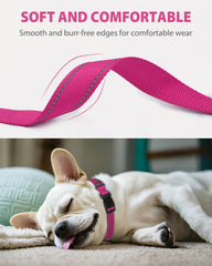 Joytale small dog collar featuring a quick-release buckle for easy removal.