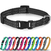 Joytale small dog collar with quick-release buckle for easy on-off during baths or vet visits.