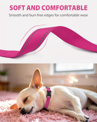 Joytale quick-release buckle enables easy on-and-off during baths or vet visits.