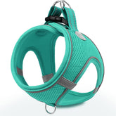 Joytale small dog harness teal front view for secure walks.