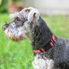 Joytale Soft Neoprene Padding Collar neon pink offers gentle, chafe-free comfort.