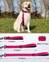 Joytale strong short dog leash traffic-control handle aids safe crowd navigation.