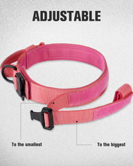 Joytale collar adjustable strap for easy length adjustment and a comfortable fit.