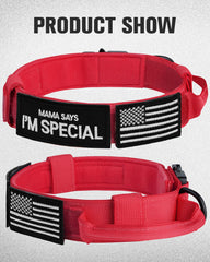 Joytale collar features 1000 Denier nylon for lasting durability