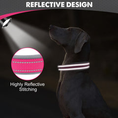 Joytale two-layer webbing collar delivers extra durability for strong pullers.