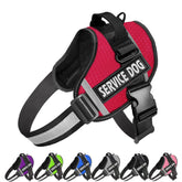 JSXD dog harness no-pull with handle for safer control during walks and training