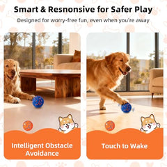 JUBBPDX Interactive Dog Ball—charging cable inset highlights USB-C quick charge convenience.