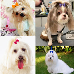 JUCCPUL small-dog bows 1.5 inch perfect for Yorkie styling.