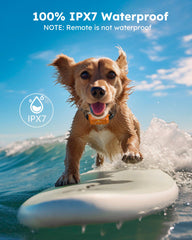 Jugbow dog collar security-lock helps prevent accidental touches during active play.