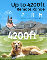 Jugbow dog shock collar 4200ft range enables long-distance training outdoors