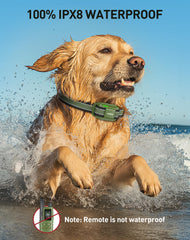 Jugbow dog shock collar training modes offer humane options for behavior shaping.