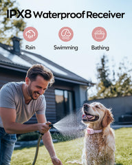 Jugbow Shock Collar IPX8 waterproof image for rain, swim, or humid days.
