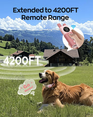 Jugbow Shock Collar two-channel image enables training two dogs simultaneously.