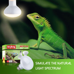 Jugbuy basking spot light rays warming bearded dragon habitat.