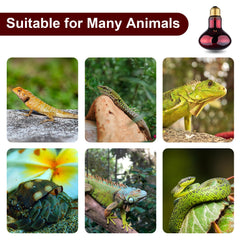 Jugbuy red basking spot in terrarium creates sun-like warmth for reptiles.