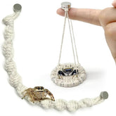Julang jumping spider bridge 10-inch rope ready for safe climbing.