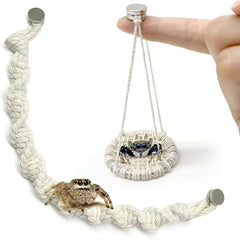 Julang jumping spider bridge 10-inch rope ready for safe climbing.