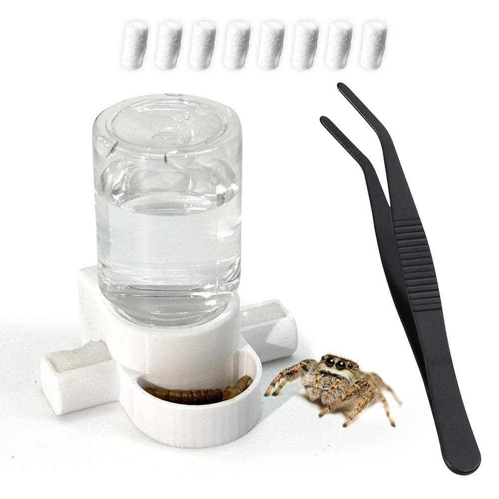 Julang jumping spider water dispenser keeps hydration steady for small enclosures