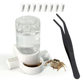 Julang jumping spider water dispenser keeps hydration steady for small enclosures