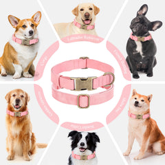 Jumpress dog collar welded D-ring closeup for secure leash attachment during walks