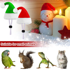 JUNEBRUSHS hens Santa scarves add charm during Christmas gatherings.