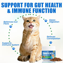 Just Try 300 Bites cat health essentials supporting indoor cat digestion