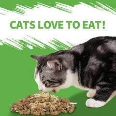 Just Try cat grass jerky training treats in action for rewards.