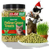 Just Try salmon cat treats with crunchy texture supporting dental care