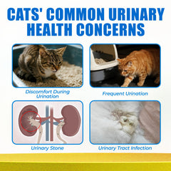 Just Try Urinary Tract Bites bottle label highlighting natural ingredients and grain-free formula.