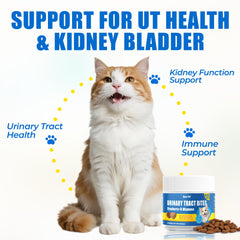 Just Try Urinary Tract Bites cat enjoying chicken-flavored urinary health treats.