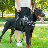 JUSTYEZI neck-padded harness closeup for longer, stress-free walks