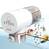 JuzPetz automatic fish feeder on aquarium setup for consistent feeding